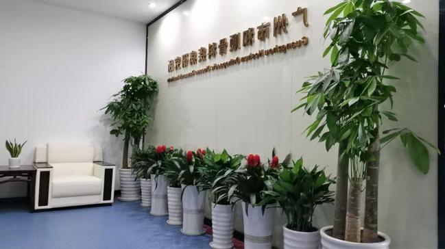 广州海珠区绿植租摆 办公室前台LOGO墙绿植安排